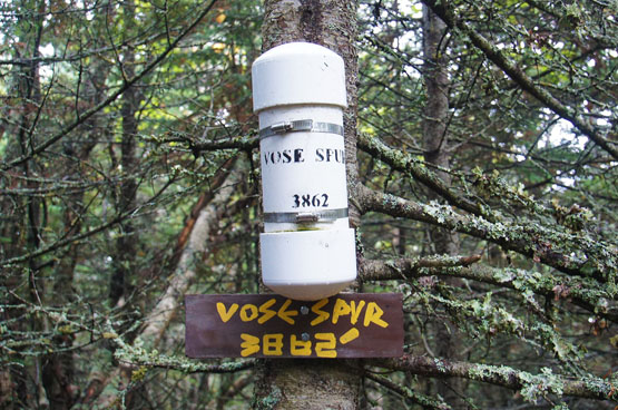 summit vose spur nh canister 3862 3,862